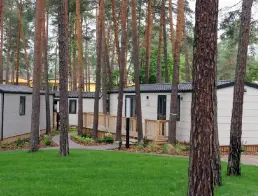 Mobile homes in forest camping